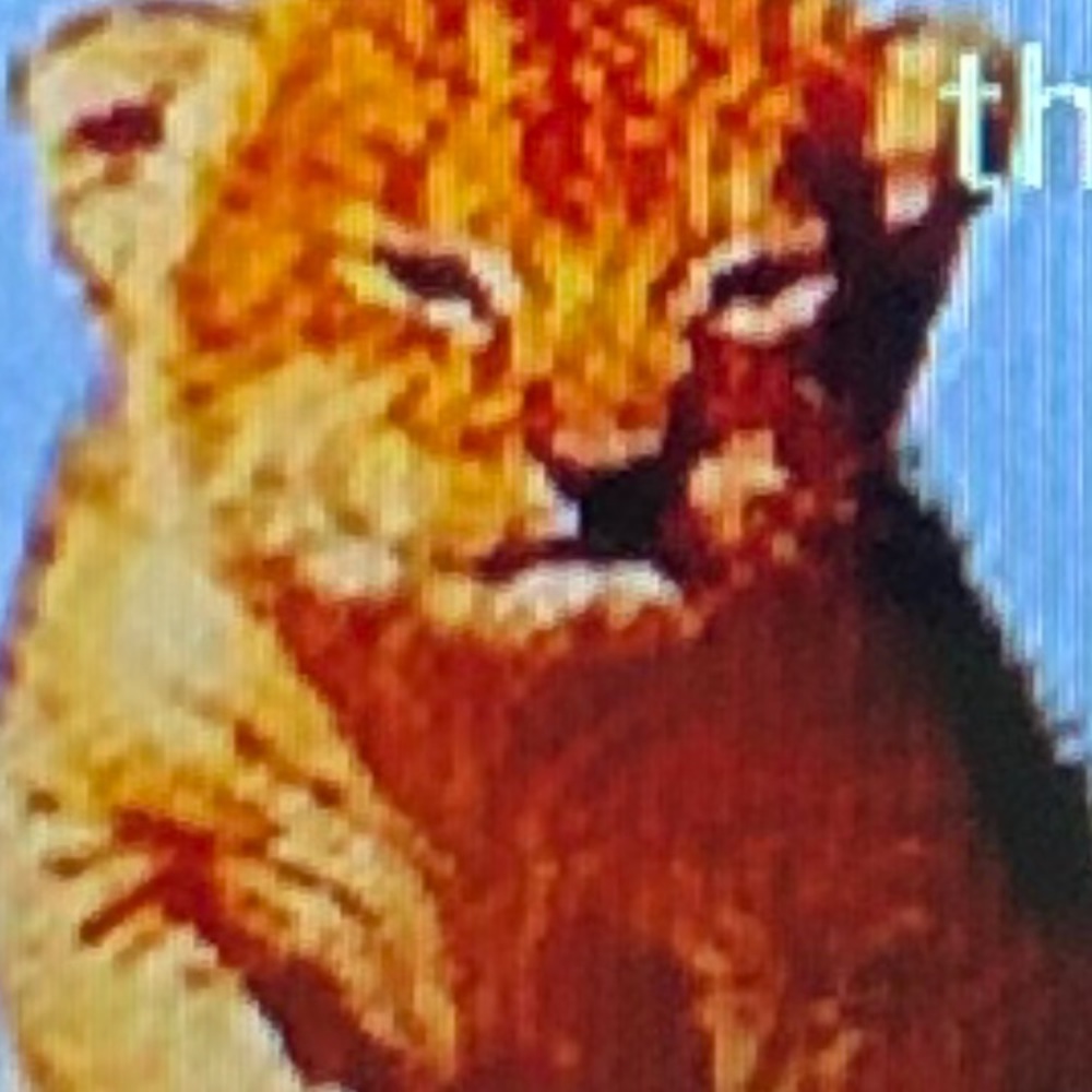 Meet your Posher, Neil